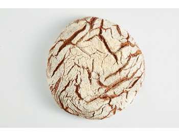 Vente boulangerie, parking, côte SUD LANDES
