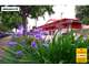 EMPLACEMENT STRATEGIQUE - BOULANGERIE HERAULT