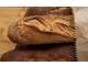 BOULANGERIE à vendre , proche de Mt de Marsan
