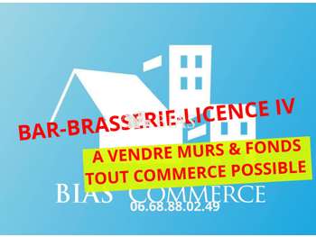 Vente murs et fonds brasserie bar licence IV - 76