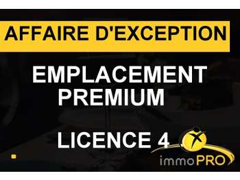 Vend brasserie empl exceptionnel à Lyon presqu'ile