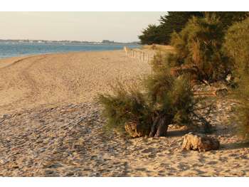 Camping 4 **** à vendre en rétro-littoral !
