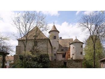 À vendre château du XIIe siècle sur Mulhouse