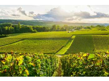 Château-Hôtel Spa restaurant à vendre en Champagne