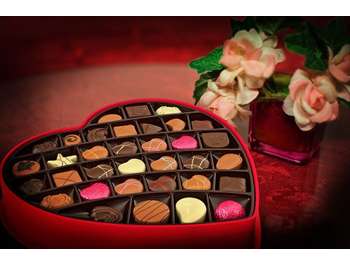 Vente chocolaterie de renom franchise Cotentin