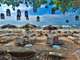 CLUB DE PLAGE D'EXCEPTION - OPPORTUNITE RARE