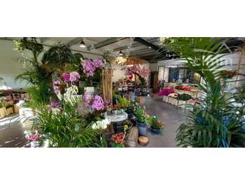 A vendre fonds de commerce fleurs à Blois