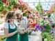 A vendre commerce de fleurs à Colombes (92)