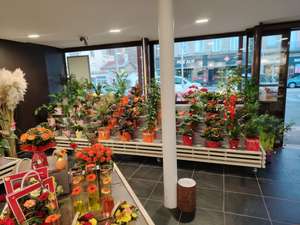 Vente  Magasin  Cadeaux - Fleurs Firminy