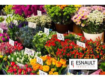 Vente FDC fleuriste bien situé dept Hérault