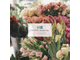 Vente FDC fleuriste dans un village bourgeois 66