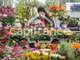 FDC fleurs à vendre proche de Toulouse
