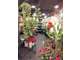 Vente fleuriste traditionnel en angle à St Cloud