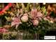 FDC fleurs décoration à vendre à l'Etang-Salé