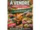 Vente fleuriste idéalement placé à Montauban