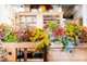 Vente FDC fleurs à développer à Paris 75017