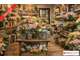 A louer magasin de fleurs de 60m² à Saint Louis