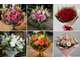 Vente FDC fleuriste emplacement N°1 à Ventabren