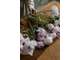 Vente FDC fleuriste emplacement N°1 à Ventabren