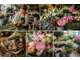 Vente FDC fleuriste emplacement N°1 à Ventabren