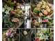 Vente FDC fleuriste emplacement N°1 à Ventabren
