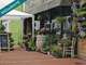 Vente FDC fleuriste env très passant à Talant