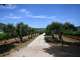 Vente domaine viticole 19ha AOP Côtes de Provence