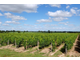 AV domaine viticole 32Ha Haut Layon milieu réputé