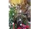 Vend FDC fleurs coeur bourg dynamique en expansion
