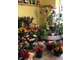 Vend FDC fleurs coeur bourg dynamique en expansion