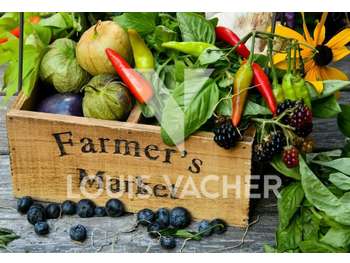 Vente FDC primeur clientèle fidèle à Bordeaux