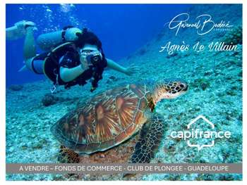A vendre centre de plongée à Bouillante Guadeloupe