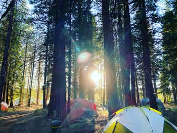 Camping *** à vendre murs & fonds en Pays de Loire