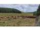 AV FDC vêtements travail accessoires Puy de Dôme