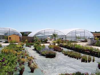 Cède entreprise jardinerie-horticole-paysagiste 86