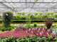 AV exploitation horticole et jardinerie de renom