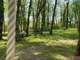 Cession parc accrobranche 80m² en centre Occitanie