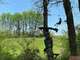 Cession parc accrobranche 80m² en centre Occitanie