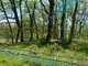 Cession parc accrobranche 80m² en centre Occitanie