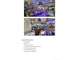 Restaurant licence 4