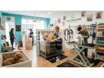 A vendre salon de toilettage en pays de Vannes