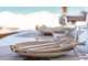 NOUVEAU  Vente brasserie (parts sociales) sur Nice