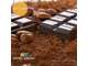 Vente confiserie chocolatier à Paris Rive Droite
