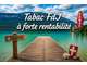 Vente tabac FDJ petite presse forte rentabilité 73