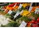 Cède épicerie tabac FDJ PMU proche littoral Vendée