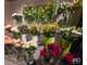 Vente FDC fleuriste empl N°1 à Villenave-d'Ornon