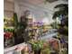 Vente FDC fleuriste empl N°1 à Villenave-d'Ornon