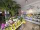 Vente FDC fleuriste empl N°1 à Villenave-d'Ornon