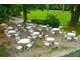 A vendre guinguette dans village pittoresque 66