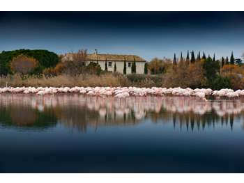 Vente hôtel 4 **** emplacement N°1 en Camargue